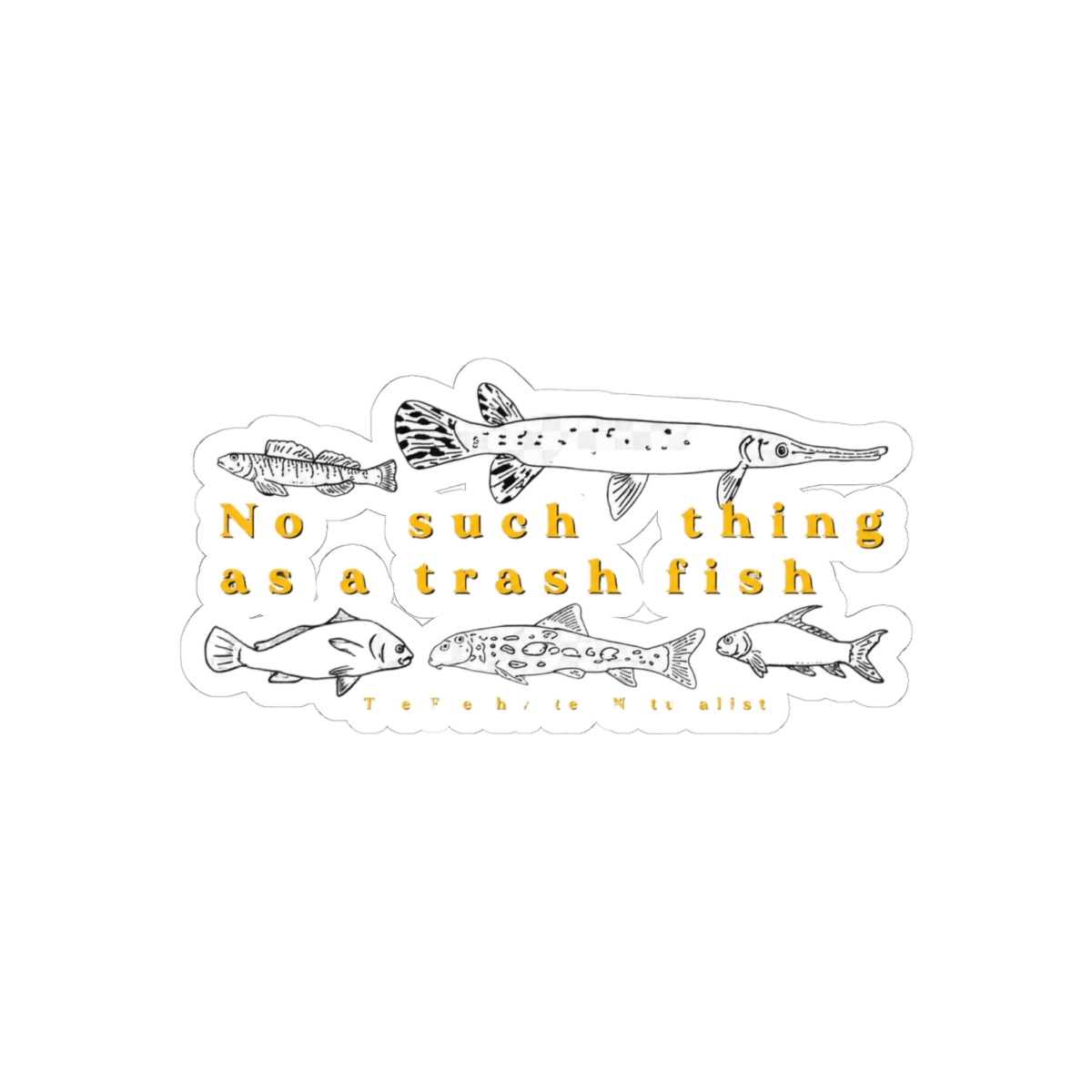 A white sticker with black line drawings of various fish species. The text "No such thing as a trash fish" is in yellow, with "The Freshwater Naturalist" below the fish illustrations - Official Stickers merchandise